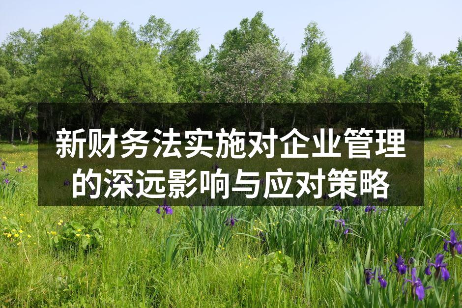新财务法实施对企业管理的深远影响与应对策