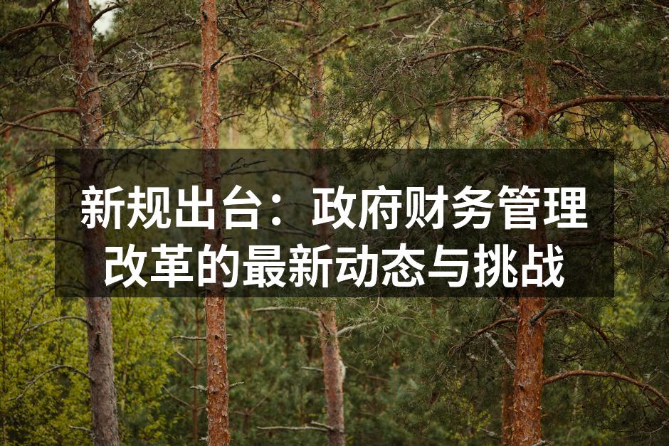 新规出台：政府财务管理改革的最新动态与挑