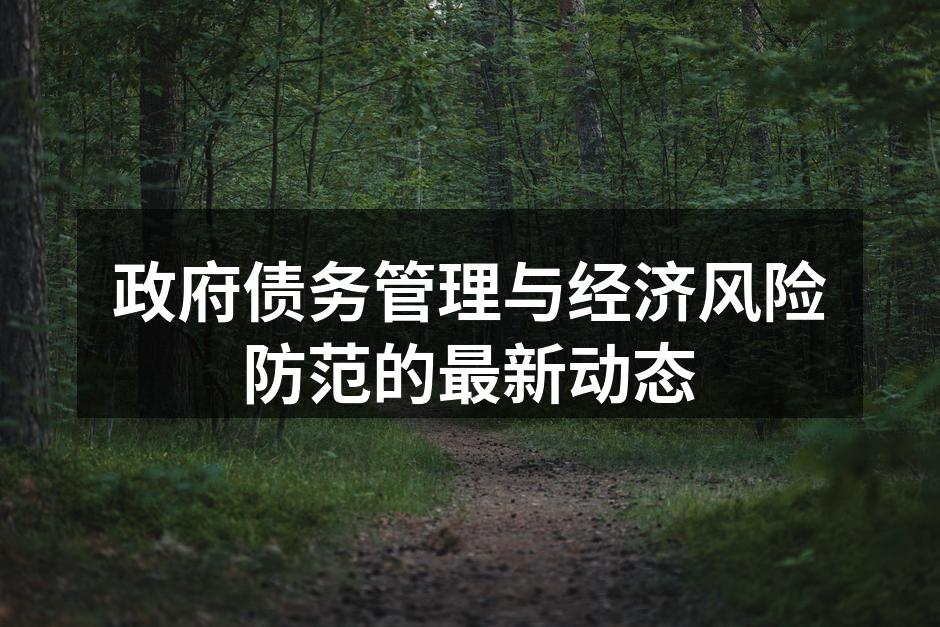 政府债务管理与经济风险防范的最新动态
