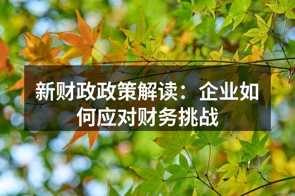 新财政政策解读：企业如何应对财务挑战