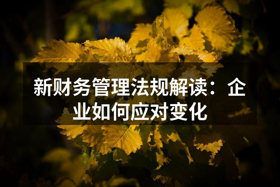 新财务管理法规解读：企业如何应对变化